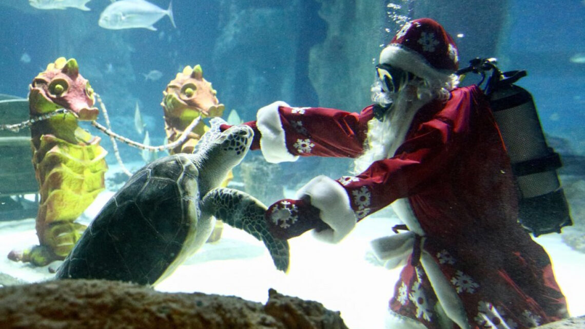 Дед Мороз танцует с черепахой в аквариуме и огромные шары в центре. Как Москва готовится к Новому году?